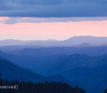 The Histogram: Maximising Your Image Quality: