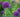 Learning with Experts' Gardening Course on Planting Spring Bulbs