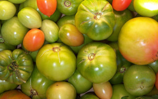 How To Ripen Green Tomatoes