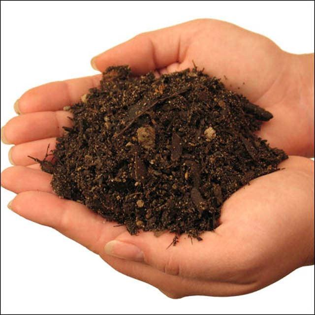 Understanding your Soil: Acid and Alkaline Soils