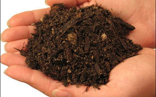 Understanding your Soil: Acid and Alkaline Soils