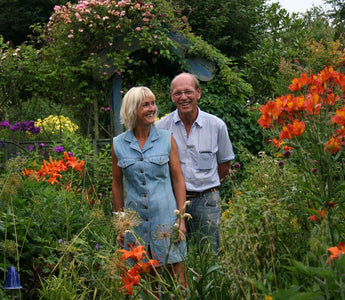 Poppy Cottage; A wonderful Cornish Garden for all seasons