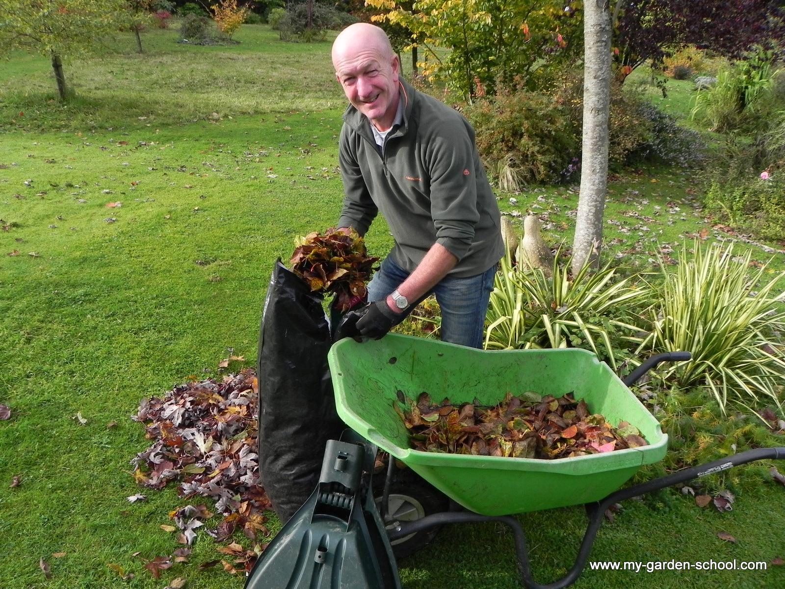 How to Compost Your Leaves!