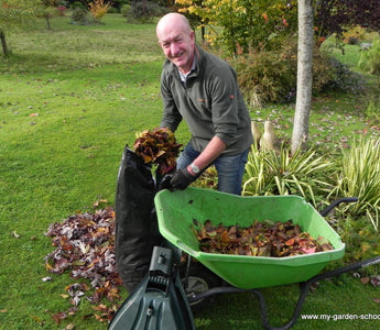 How to Compost Your Leaves!
