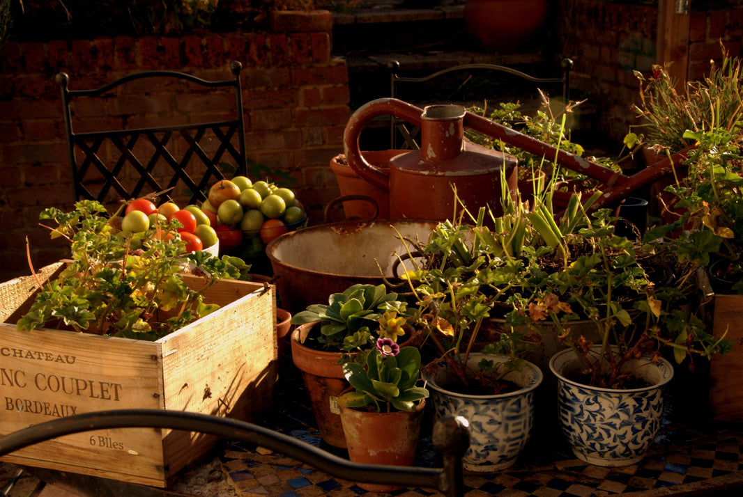 Moving Garden