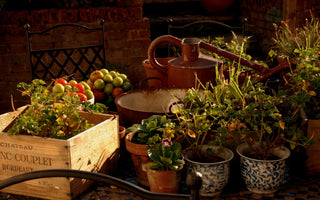 Moving Garden