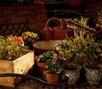 Moving Garden