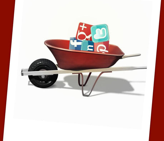 The World's 100 Best Gardening sites Learning with Experts