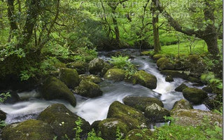 Music and Photography: A Photographer's Playlist