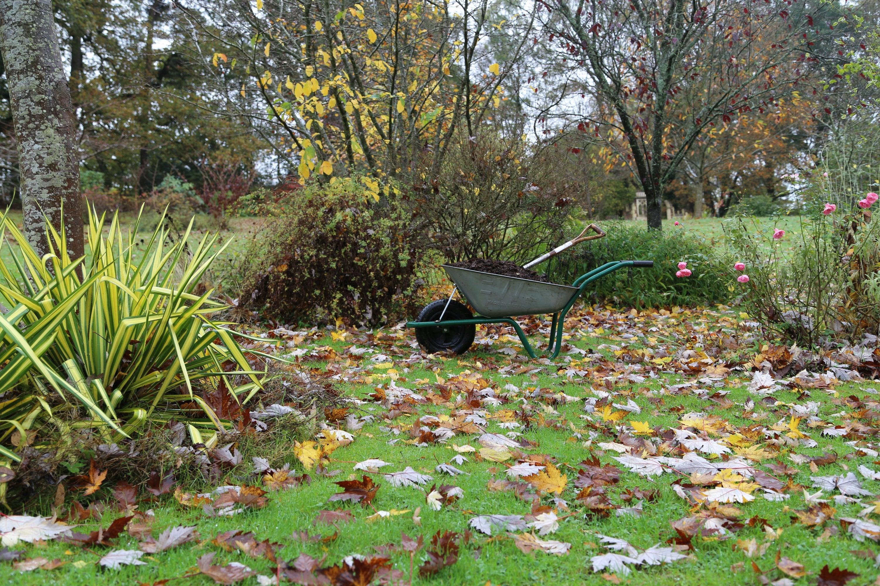 How to use Garden Compost