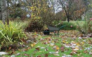 How to use Garden Compost