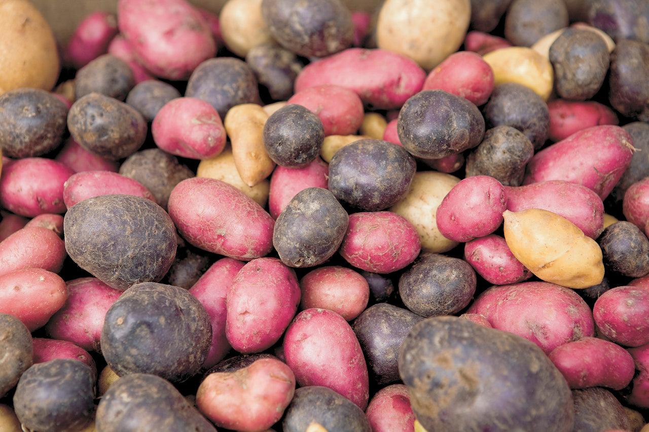 How to Grow Potatoes