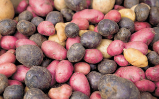 How to Grow Potatoes