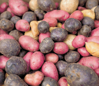 How to Grow Potatoes