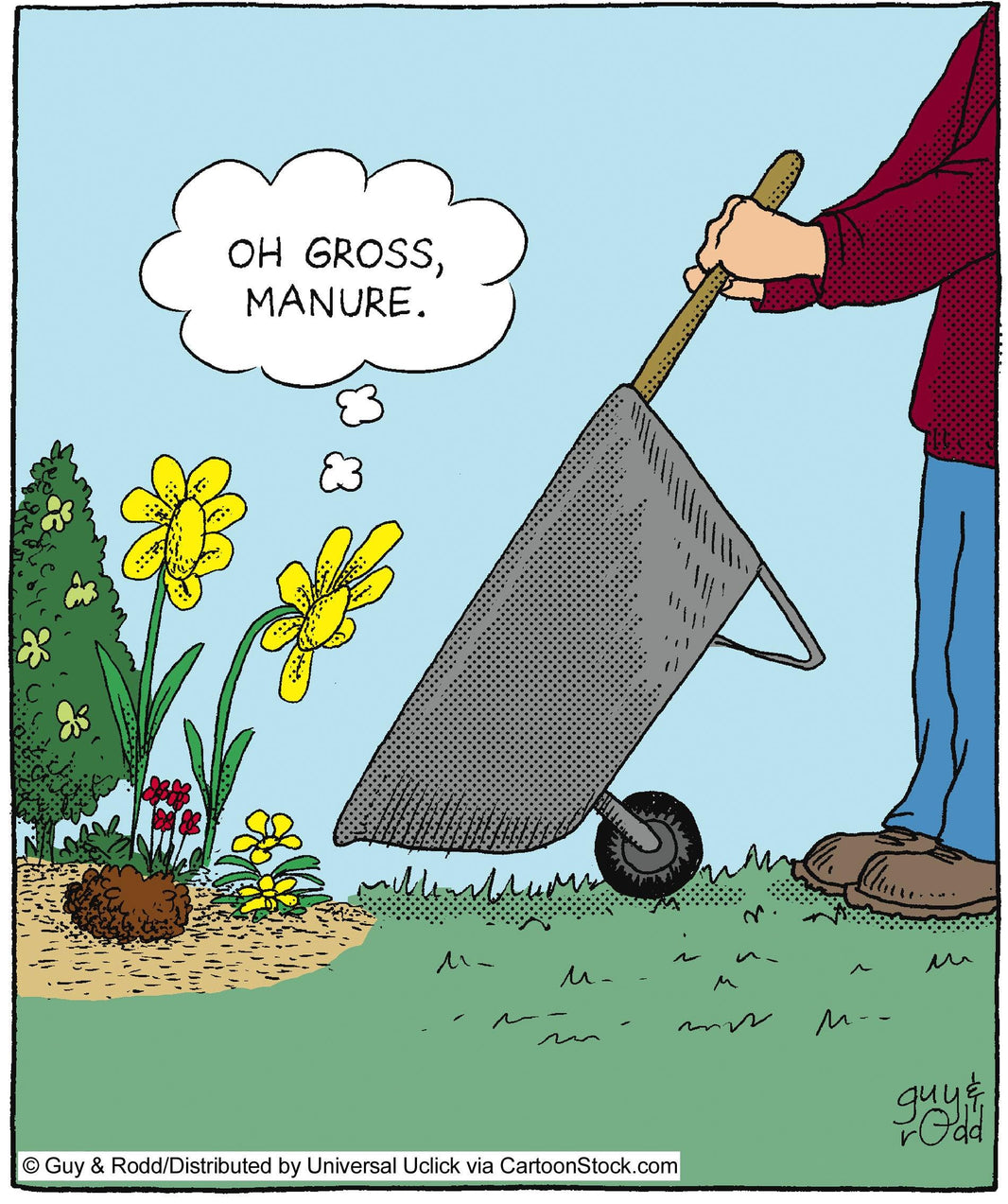 Plant Food & Fertilizer Explained