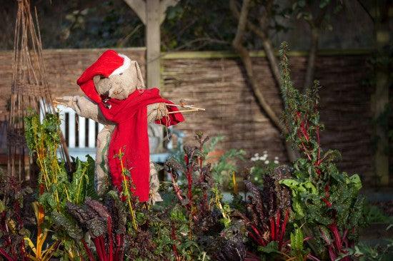 Great Christmas Idea: Gift an Online Gardening Course - Instantly