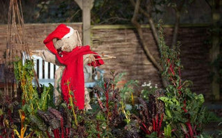 Great Christmas Idea: Gift an Online Gardening Course - Instantly