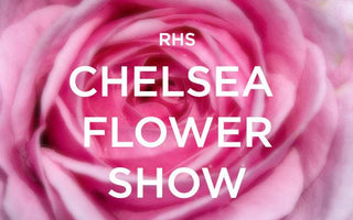 How to Prepare Show Plants for Chelsea Flower Show