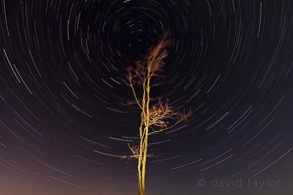 Star Trails: Long exposures of the night sky