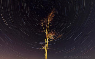 Star Trails: Long exposures of the night sky