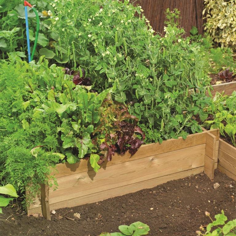Raised Vegetable Beds