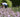 Is horticulture a cause worth supporting?