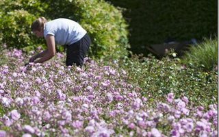 Is horticulture a cause worth supporting?