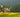 Shutter Speed: Understanding Shutter Priority Mode (TV)