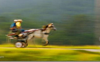 Shutter Speed: Understanding Shutter Priority Mode (TV)