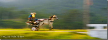 Shutter Speed: Understanding Shutter Priority Mode (TV)