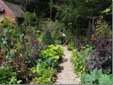Plant Protection without chemicals