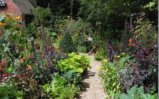 Plant Protection without chemicals