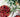 Cherries