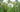 Weeds: Planning The Battle & Winning The War