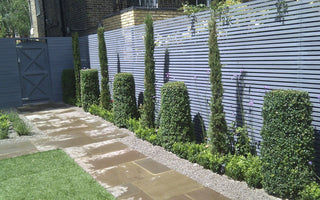 Wood Preservative Colours For Garden Fences