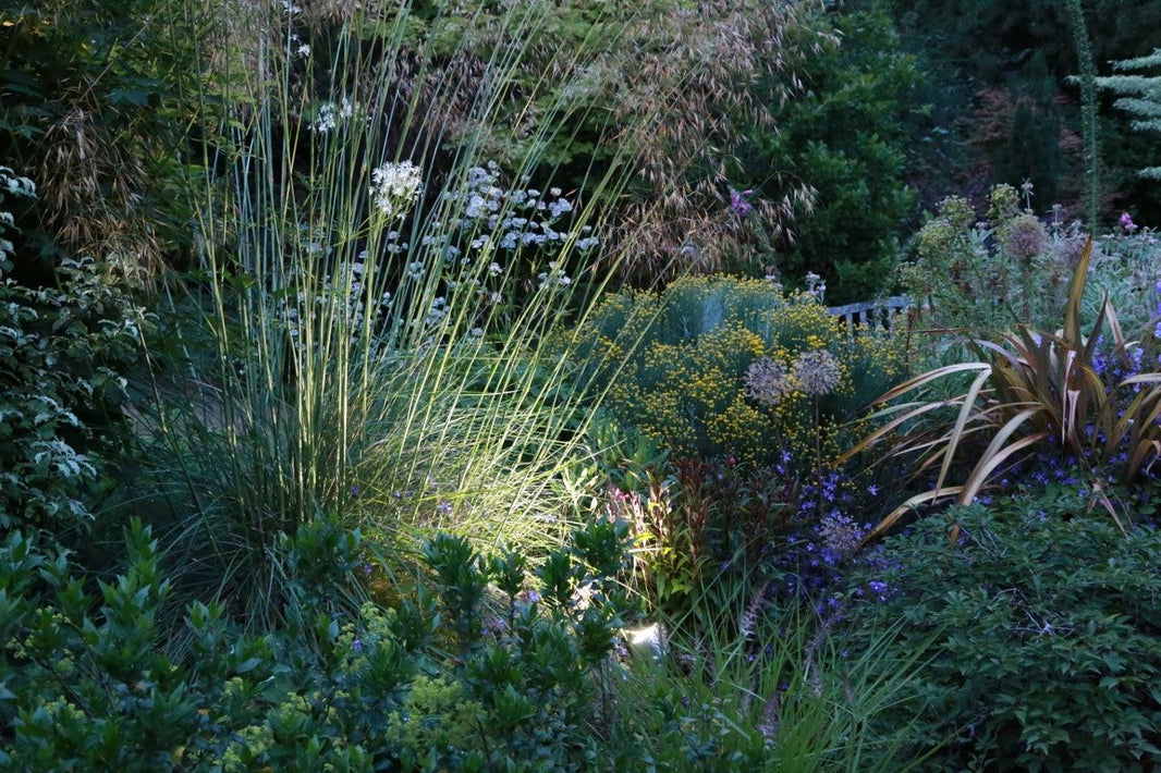A Spotlight on Solar Lighting