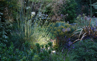 A Spotlight on Solar Lighting