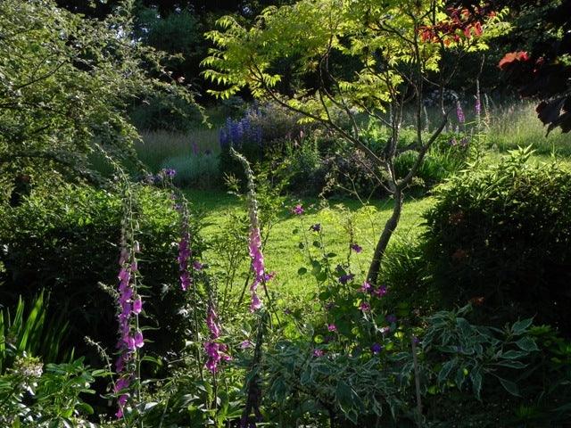 Sandhill Farm: my garden in Hampshire, England