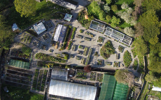 Realising a dream: Abi and Tom's Garden Plants at Halecat