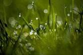 Specular Highlights