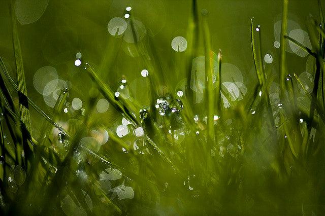 Specular Highlights