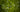 Specular Highlights