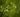 Specular Highlights