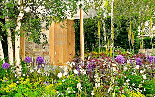 Plantsman's Profile:  Paul Hervey Brookes