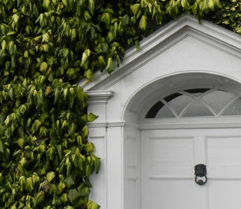 How to plant a small urban garden