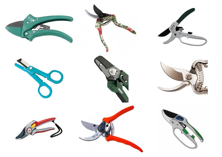 Which Secateurs Should I Buy?
