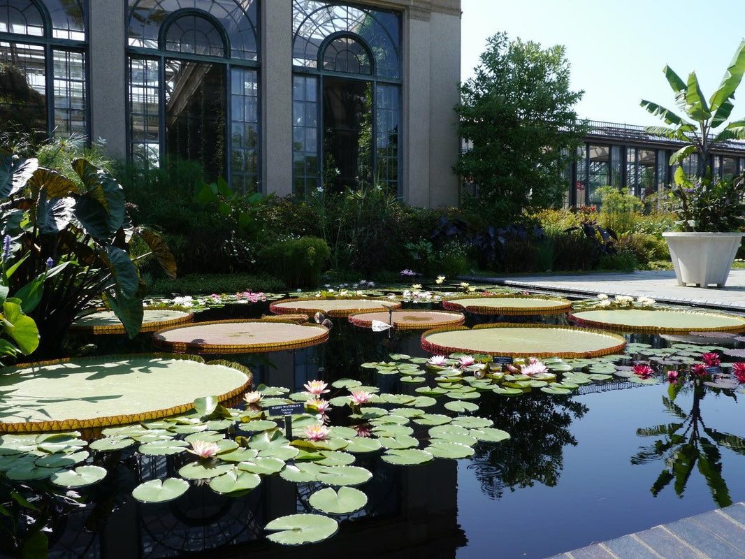 The Gardens of Philadelphia
