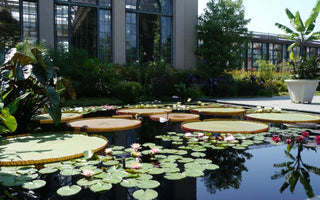 The Gardens of Philadelphia