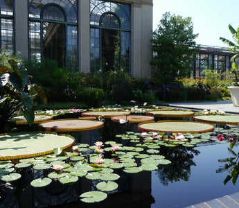 The Gardens of Philadelphia