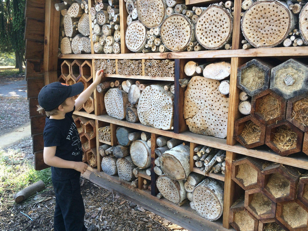 Build a Bee Hotel